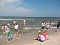 Kliknij by wejść img_0090_t1.jpg