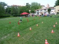 Kliknij by wejść p1080517_t1.jpg