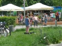 Kliknij by wejść p1080566_t1.jpg