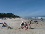 Kliknij by wejść p1050121_t1.jpg