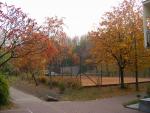 Kliknij by wejść 05-2003_t1.jpg