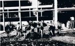 Kliknij by wejść 10-1963_t1.jpg