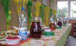 Kliknij by wejść img_1224_t1.jpg