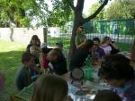 Kliknij by wejść p1060904_t1.jpg
