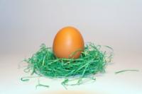 Wejd¼ easter_egg_2.jpg