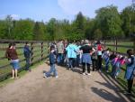 Wejd¼ pragabialowieza3.jpg